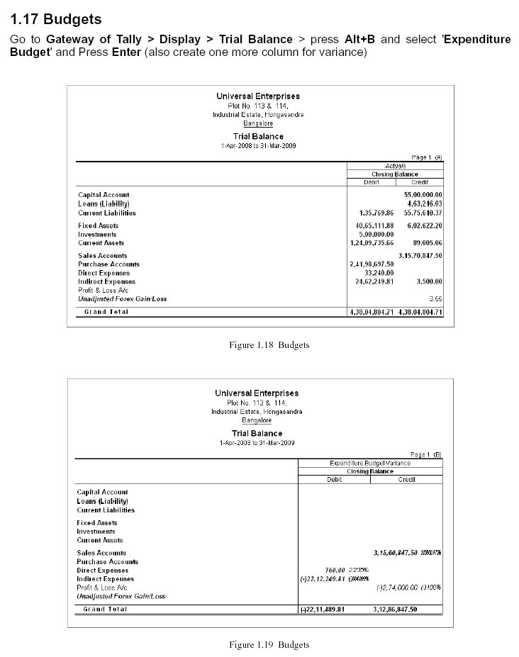 Budgets Report @ Tally.ERP 9